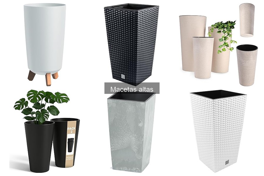 Plantas ideales para macetas altas: ¡Descubre las mejores!