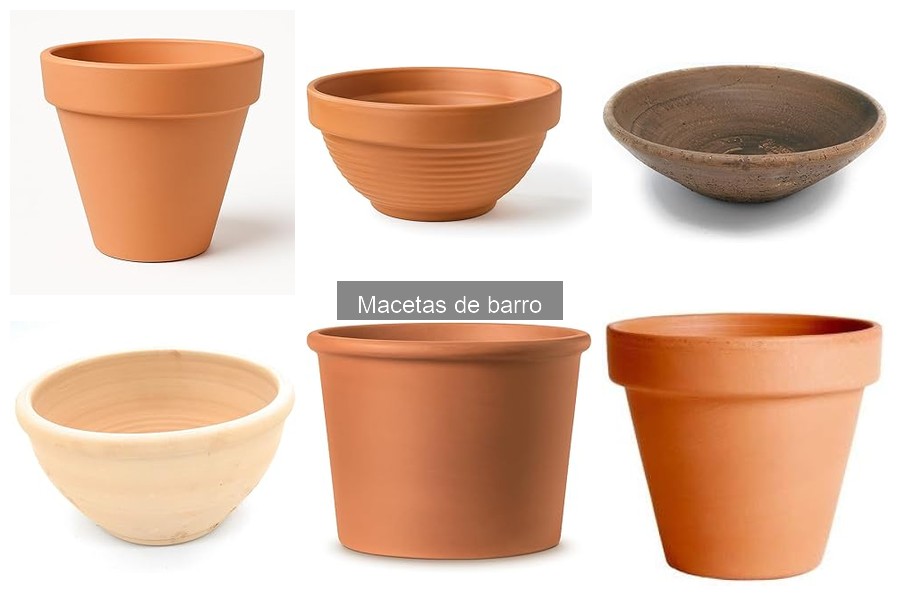 Plantas ideales para macetas de barro: ¡Descubre las mejores!
