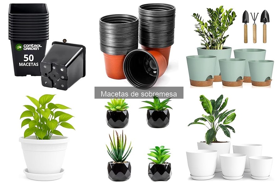 Precio y Dónde Comprar Macetas de Sobremesa