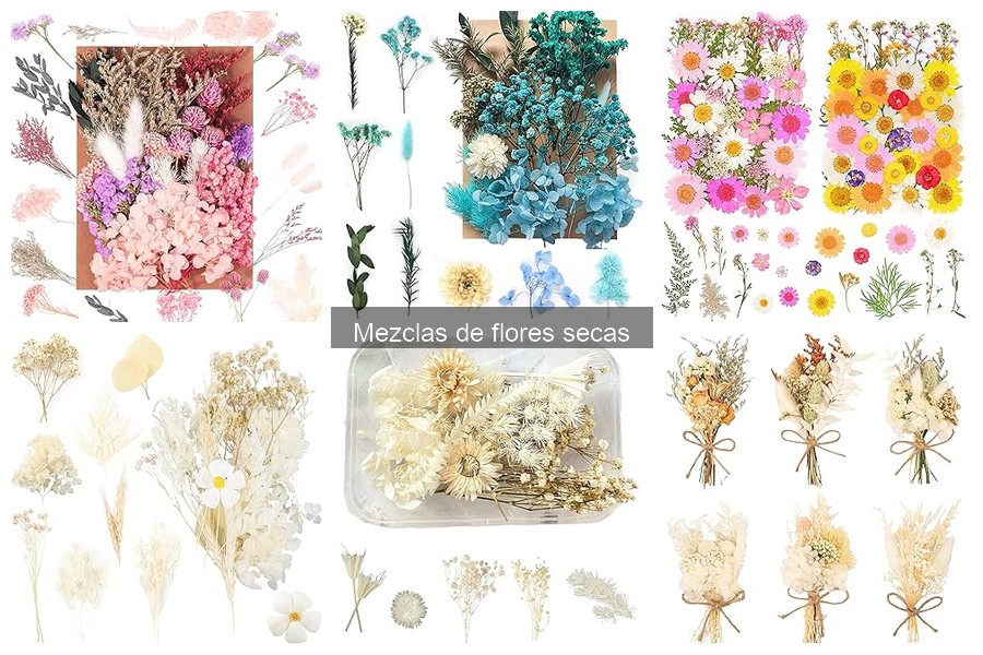 Precios de Mezclas de Flores Secas: Guía de Inversión