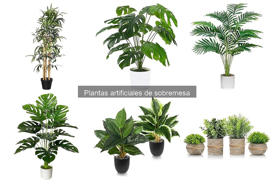 Precios de Plantas Artificiales de Sobremesa: Guía 2023