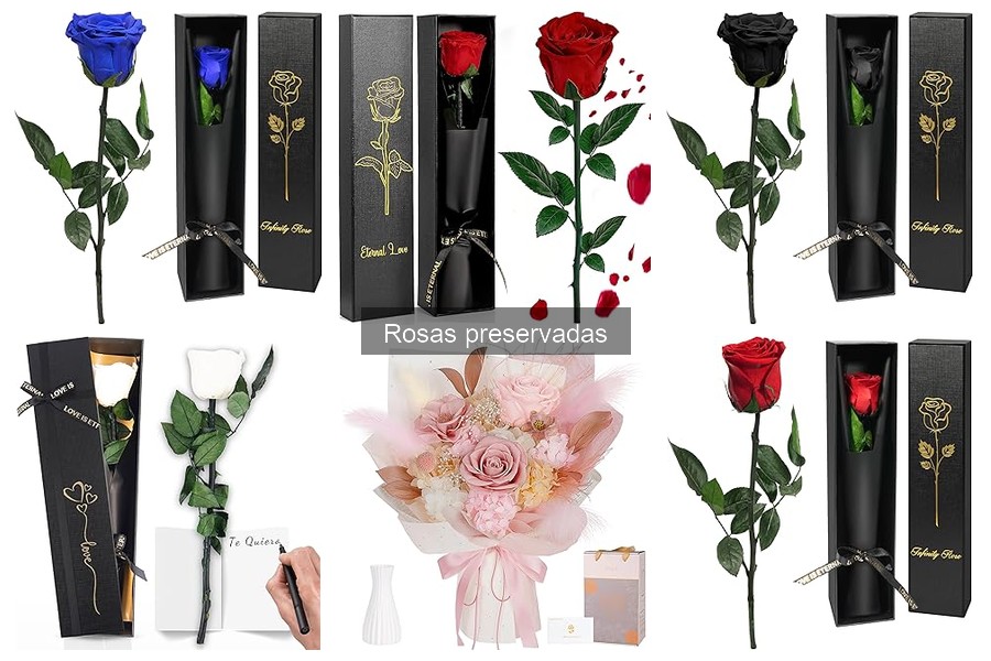 Precios de rosas preservadas: ¡compara y ahorra!