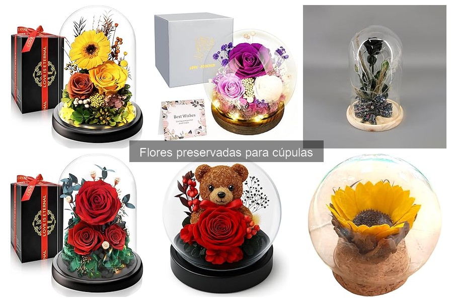 Precios promedio de flores preservadas en cúpulas