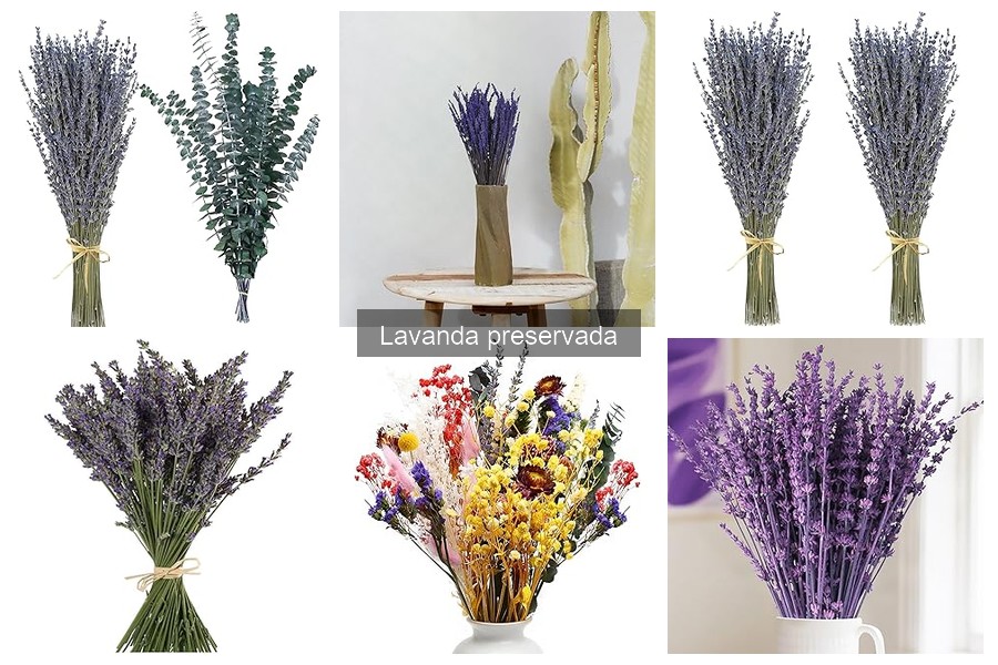 Precios Promedio de Lavanda Preservada para Decoración