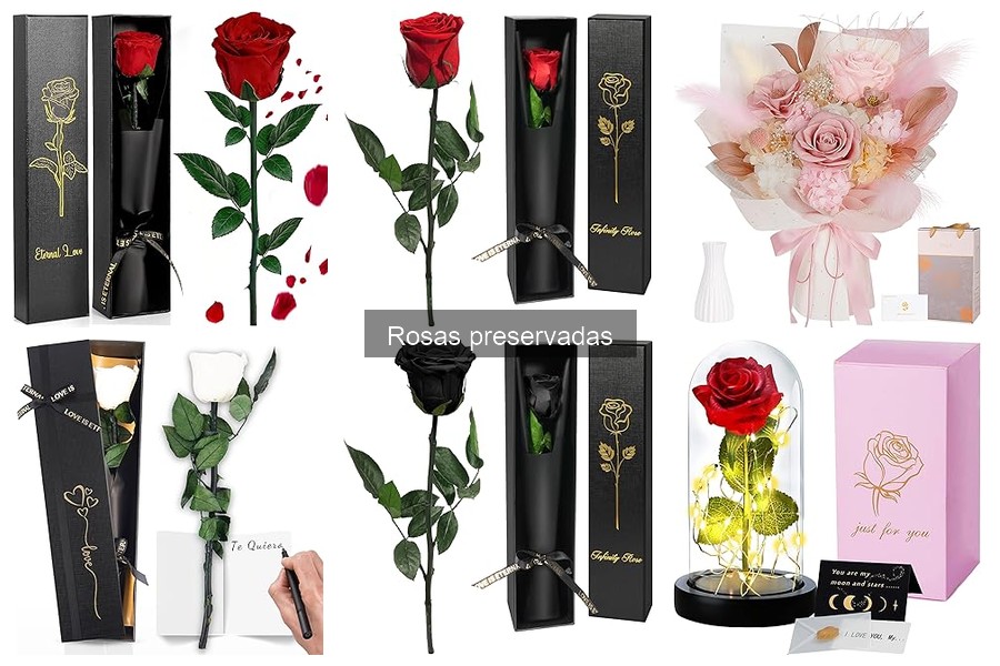 Preguntas Frecuentes sobre Rosas Preservadas para tu Hogar