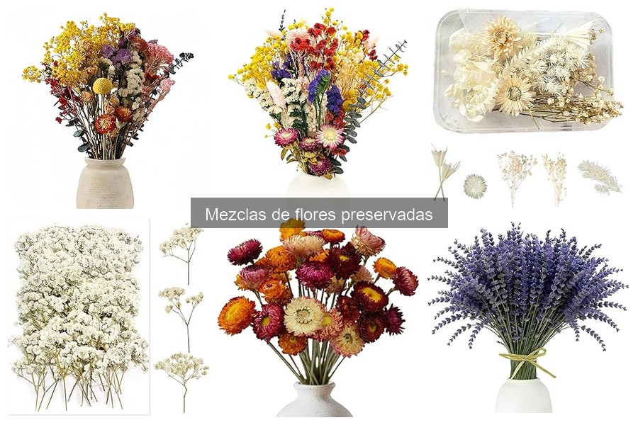 Problemas Comunes al Usar Flores Preservadas en Decoración