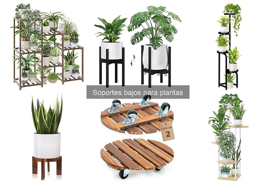 Problemas comunes al usar soportes bajos para plantas