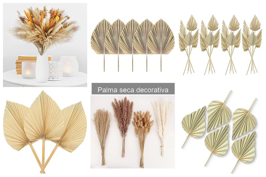 Problemas comunes con palmas secas decorativas y soluciones