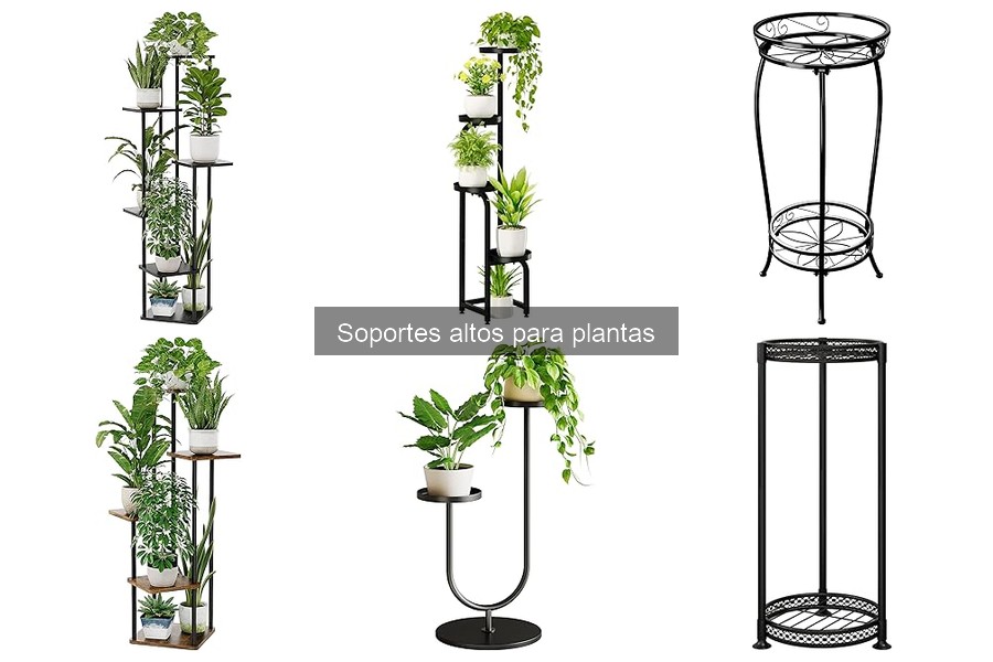 Problemas comunes con soportes altos para plantas