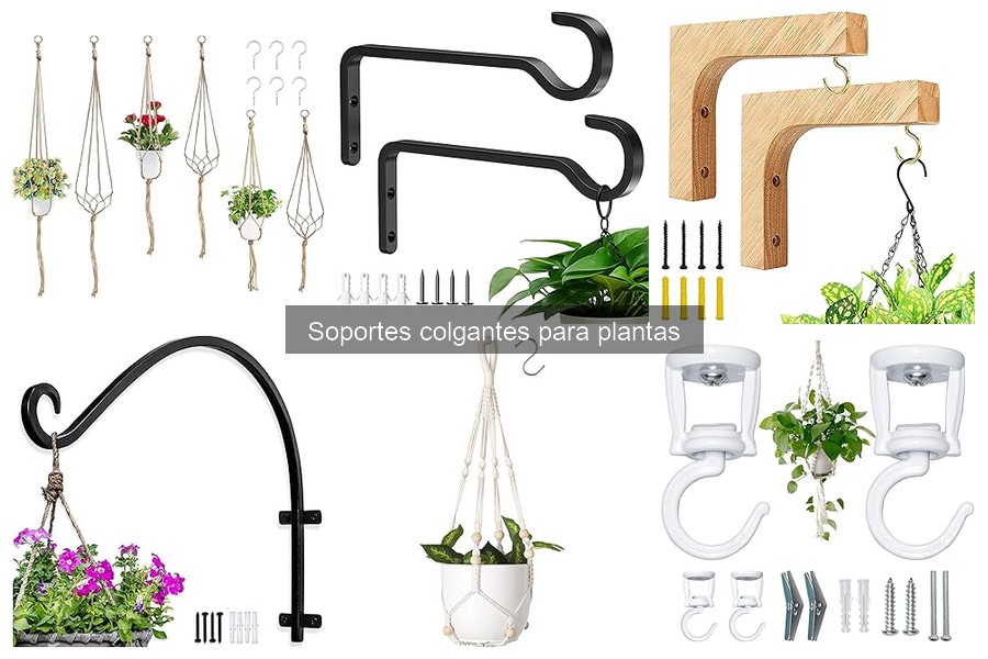 Problemas Comunes con Soportes Colgantes para Plantas
