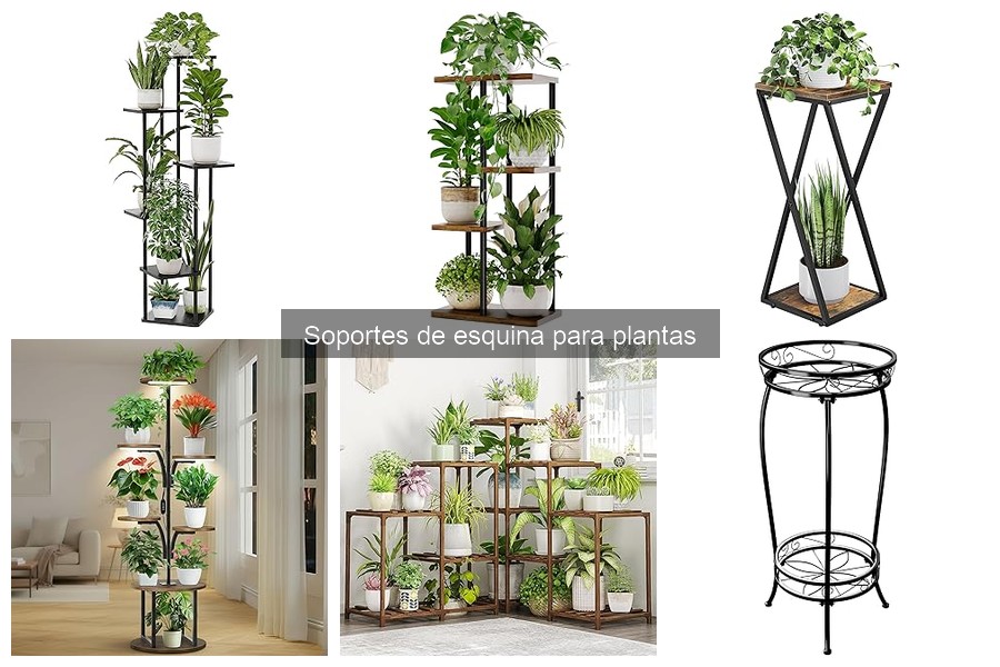 Problemas comunes con soportes de esquina para plantas