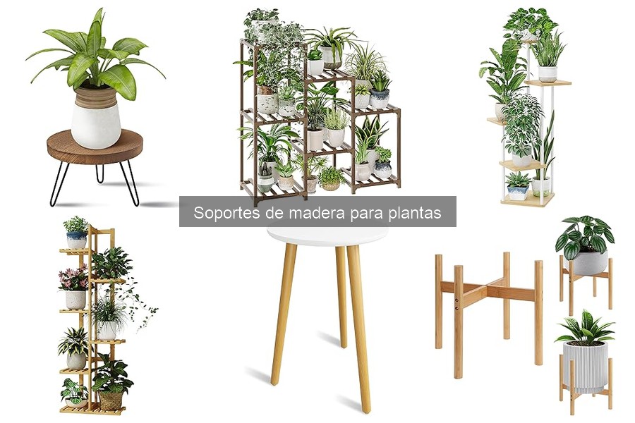 Problemas comunes con soportes de madera para plantas