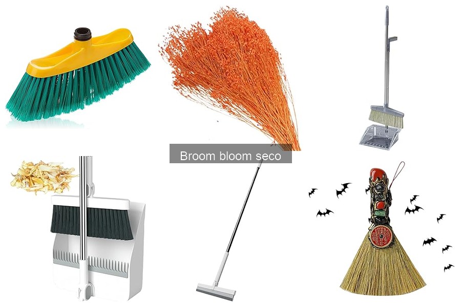 ¿Qué es el broom bloom seco? Características y ventajas