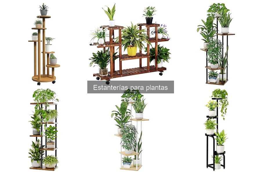 ¿Qué son las estanterías para plantas? Guía completa
