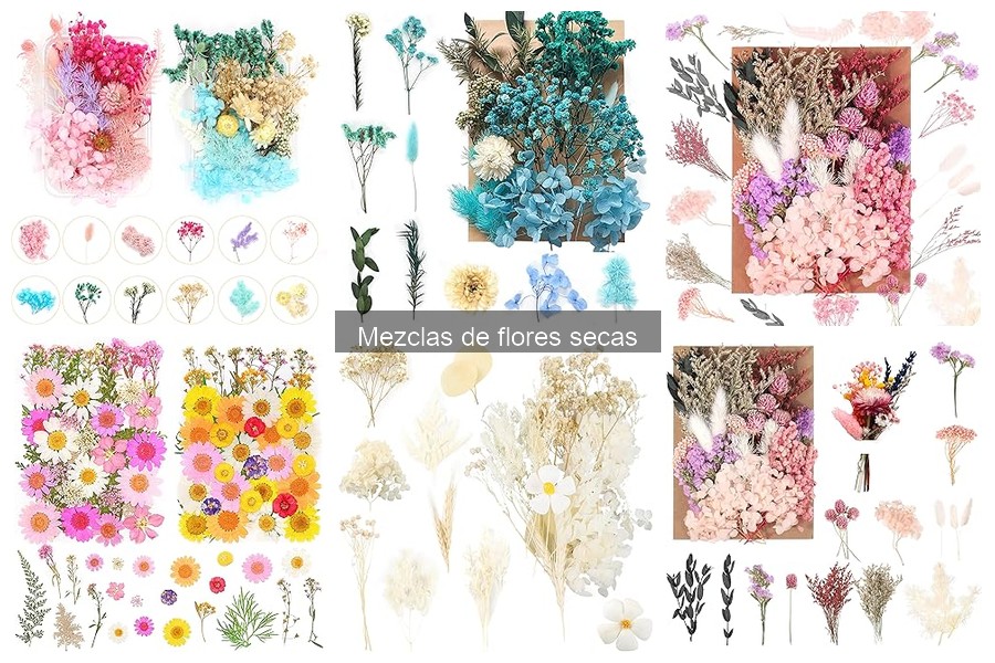 ¿Qué son las mezclas de flores secas? Características y usos