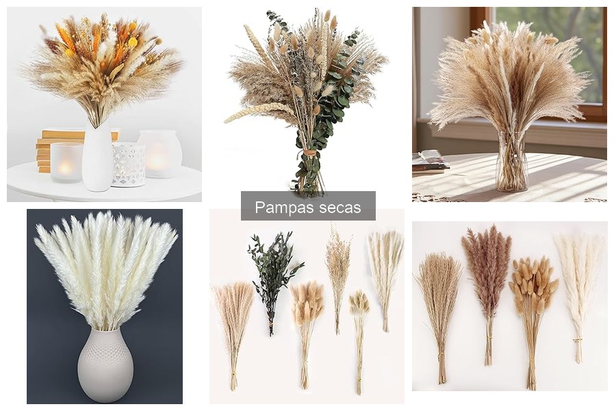 ¿Qué son las pampas secas? Descubre sus características y usos