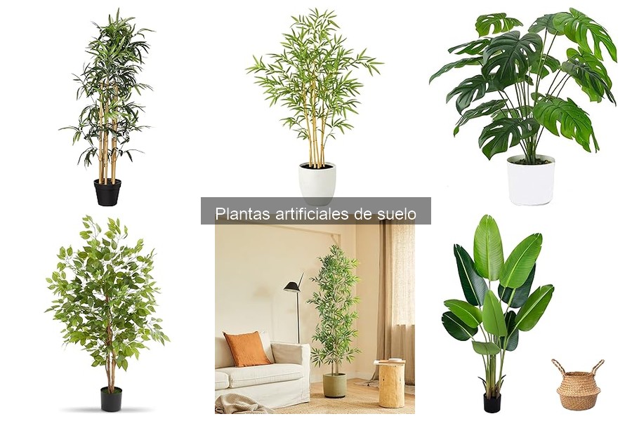 ¿Qué son las plantas artificiales de suelo? Características y Tipos