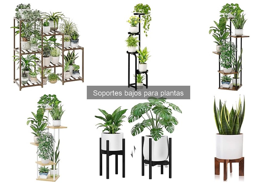 ¿Qué son los soportes bajos para plantas y sus ventajas?