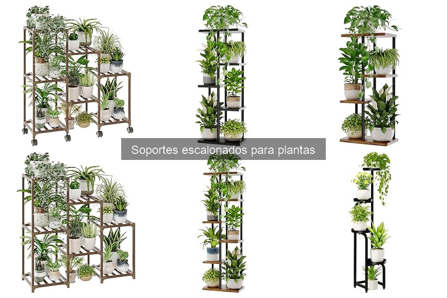 ¿Qué son los soportes escalonados para plantas? Guía fácil