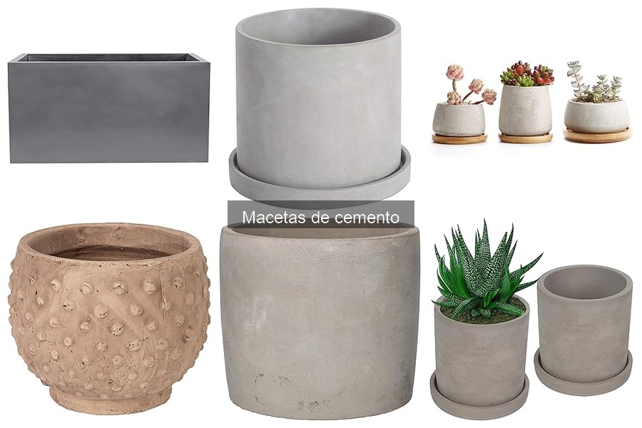 ¿Son adecuadas las macetas de cemento para todas las plantas?