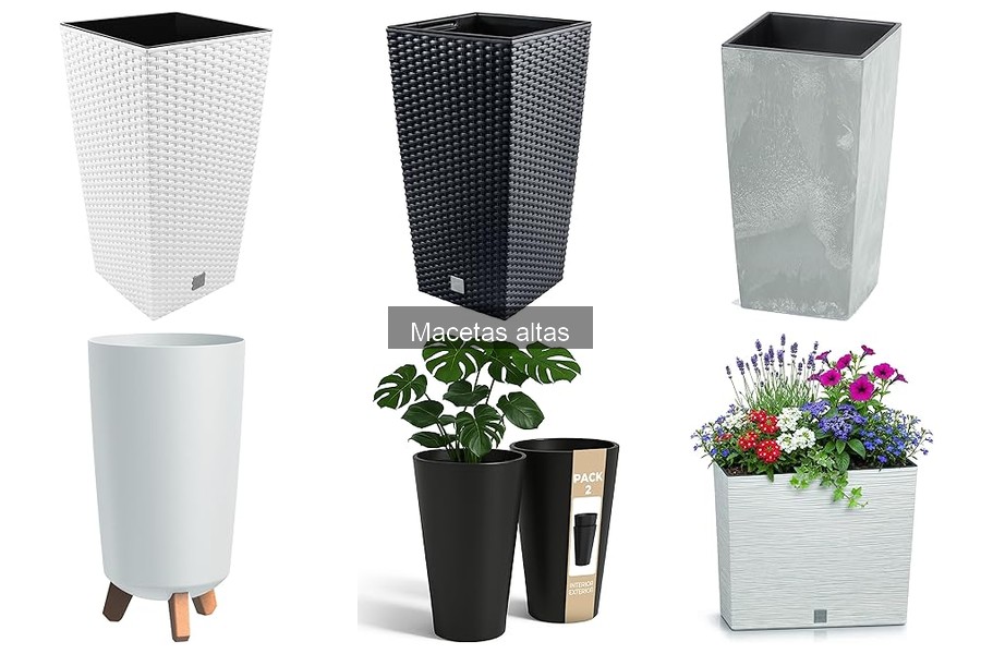 ¿Son las macetas altas adecuadas para todas las plantas?