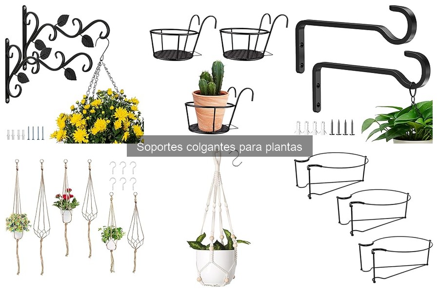 Soportes colgantes para plantas económicos: dónde comprarlos