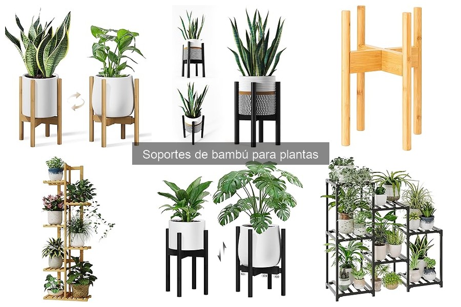 Soportes de bambú para plantas: ¿Qué son y sus beneficios?
