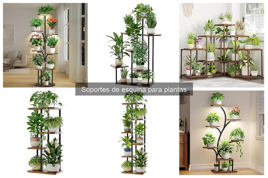 Soportes de esquina para plantas: ¿Qué son y cómo utilizarlos?