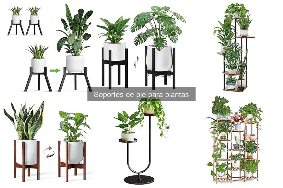 Soportes de pie para plantas exteriores en interiores: ¿son viables?