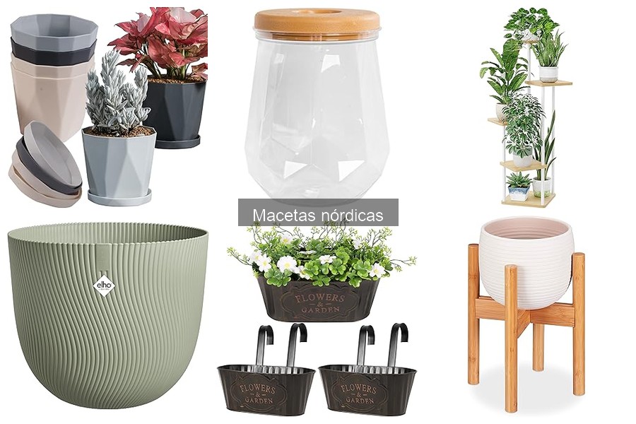Tamaños Recomendados de Macetas Nórdicas para Tus Plantas