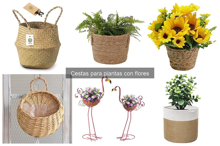 Tipos de cestas para plantas con flores: guía completa