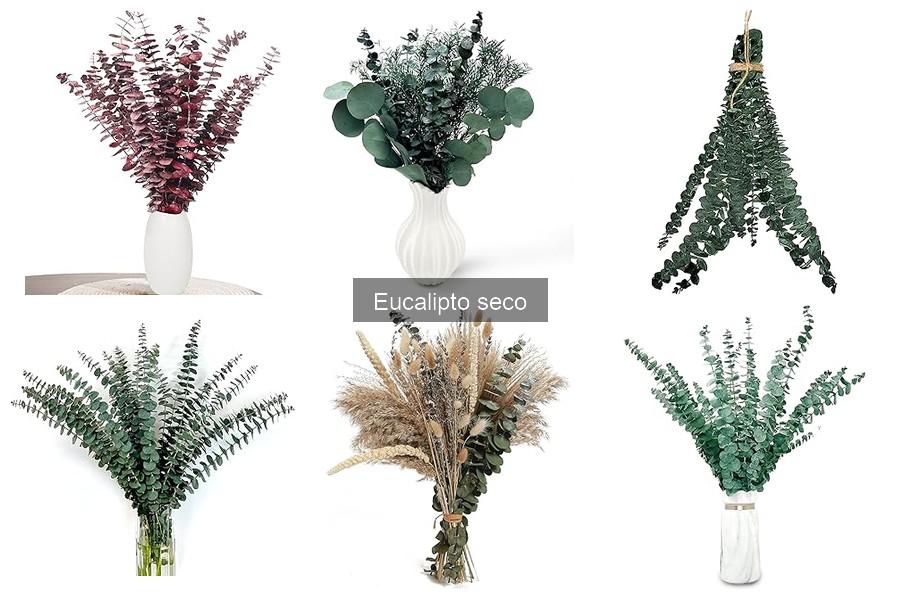 Tipos de Eucalipto Seco para Decoración Floral en Casa