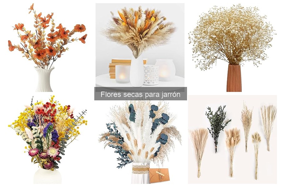 Tipos de Flores Secas para Jarrones: Ideas de Decoración