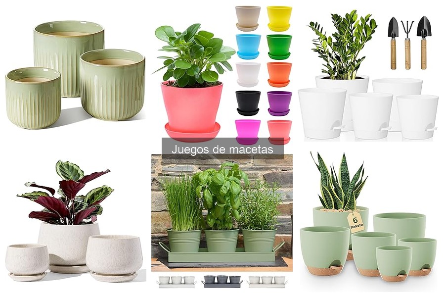 Tipos de juegos de macetas para decorar tu hogar