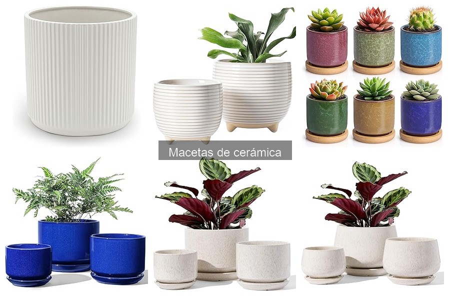 Tipos de macetas de cerámica: rústicas, esmaltadas y más