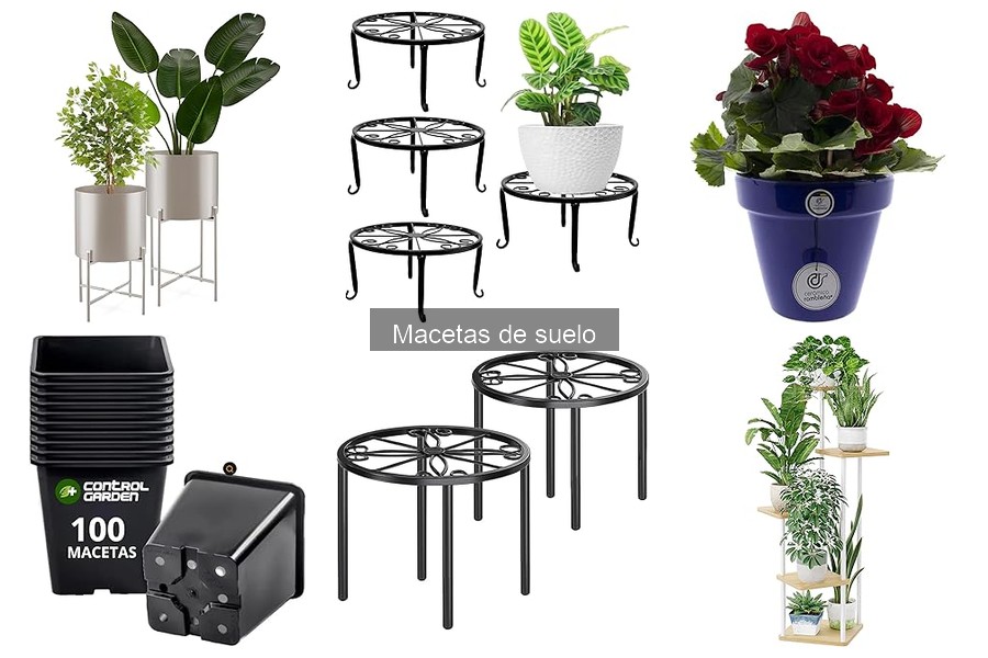 Tipos de Macetas de Suelo: Guía Completa para Decorar