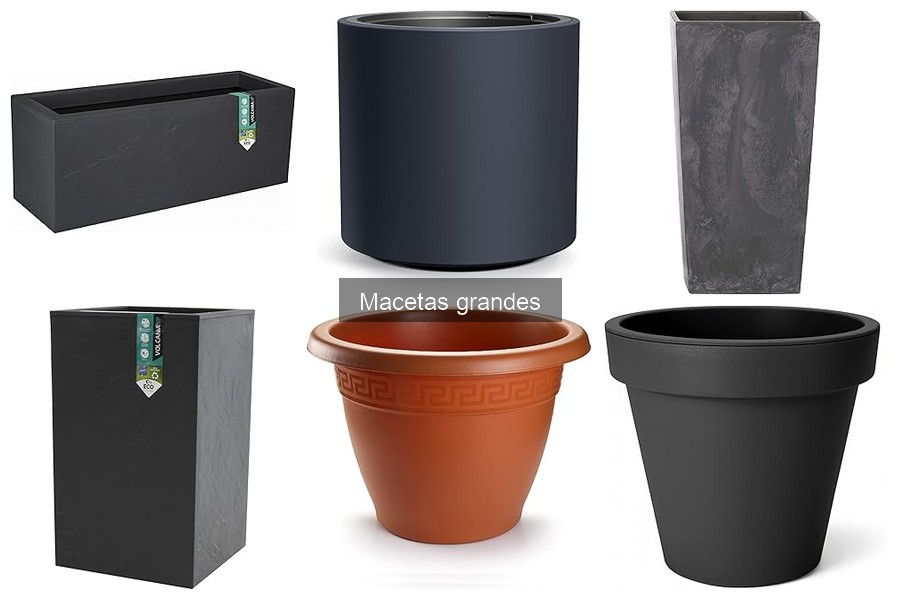 Tipos de macetas grandes: Guía completa para elegir la mejor
