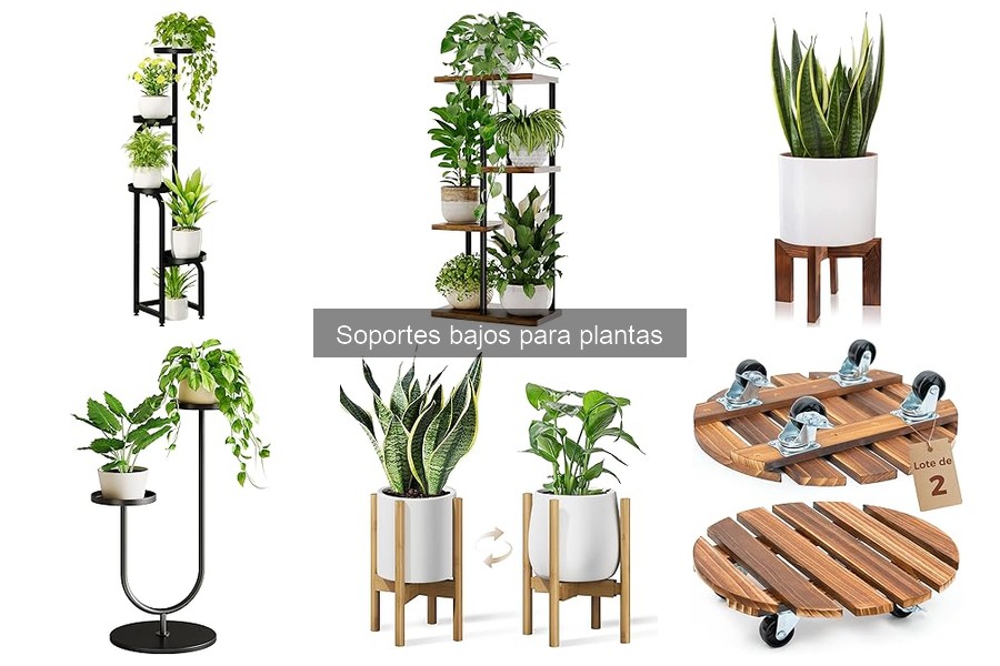 Tipos de Soportes Bajos para Plantas: Estilos y Materiales