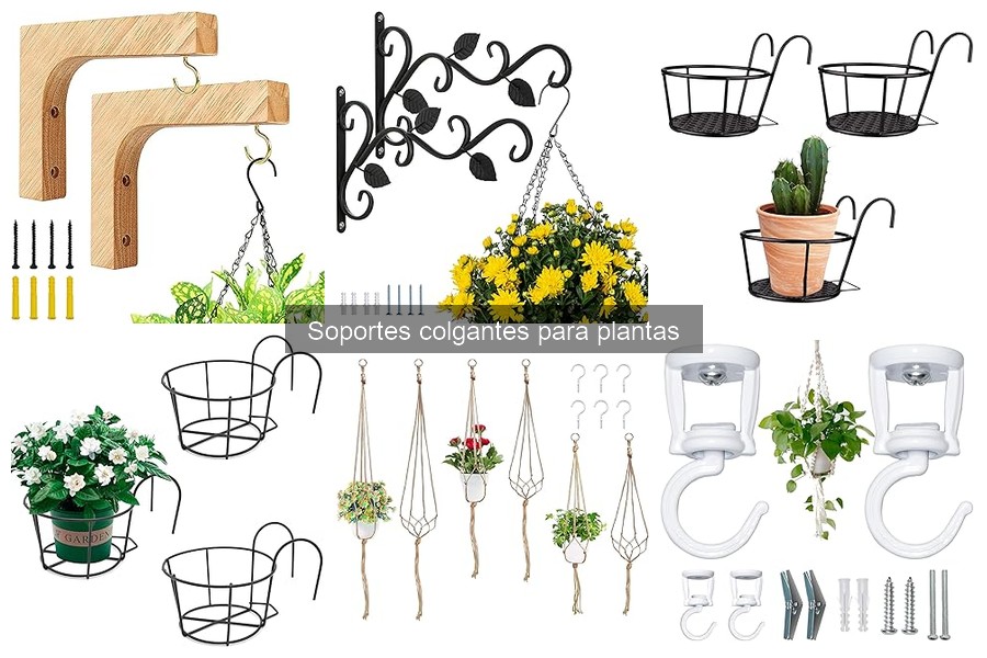 Tipos de Soportes Colgantes para Plantas y Características