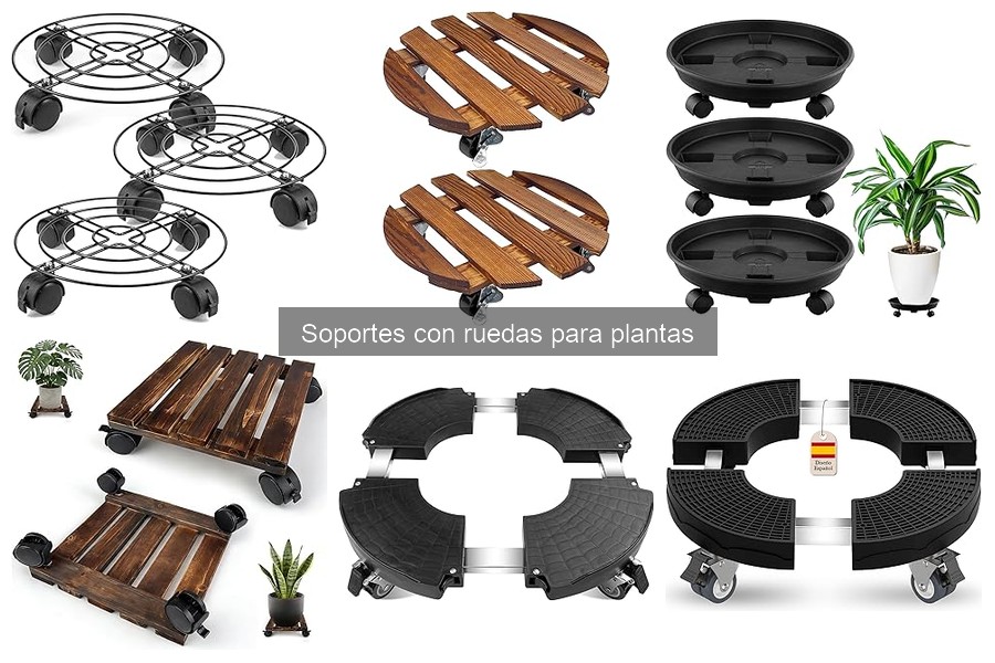 Tipos de soportes con ruedas para plantas: guía completa