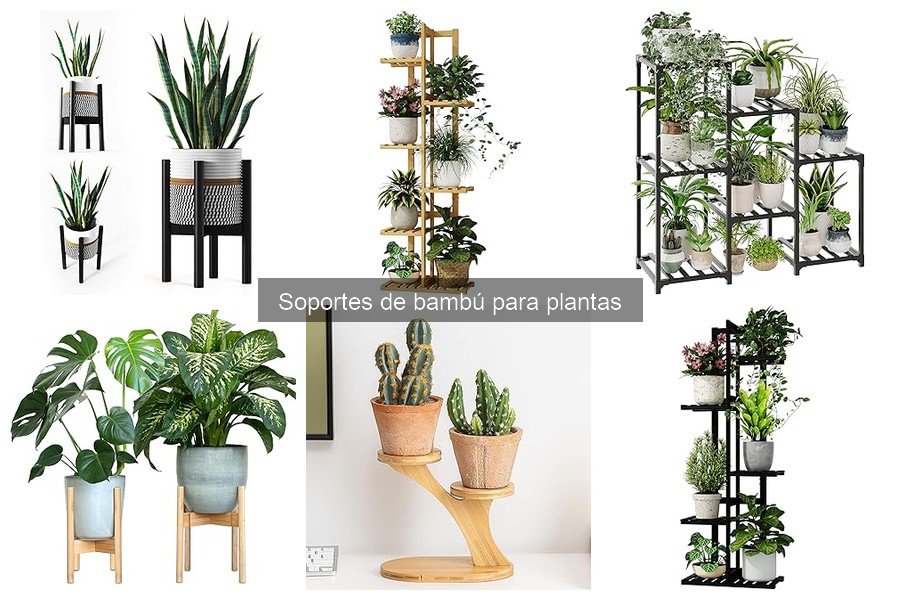 Tipos de soportes de bambú para plantas: guía completa