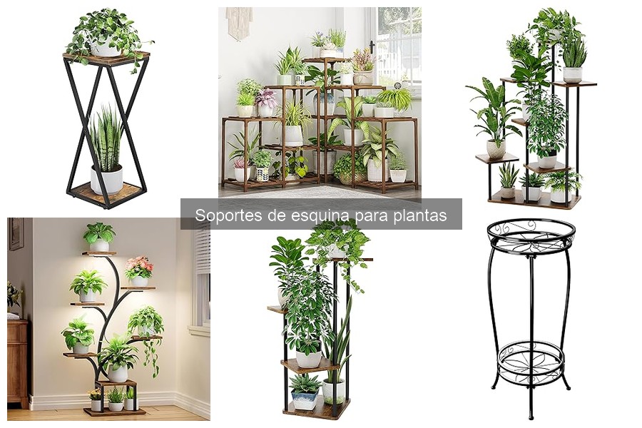 Tipos de soportes de esquina para plantas: ¡Descubre el tuyo!