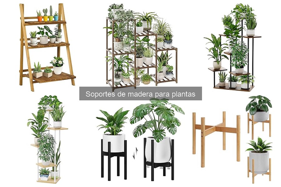 Tipos de soportes de madera para plantas en decoración