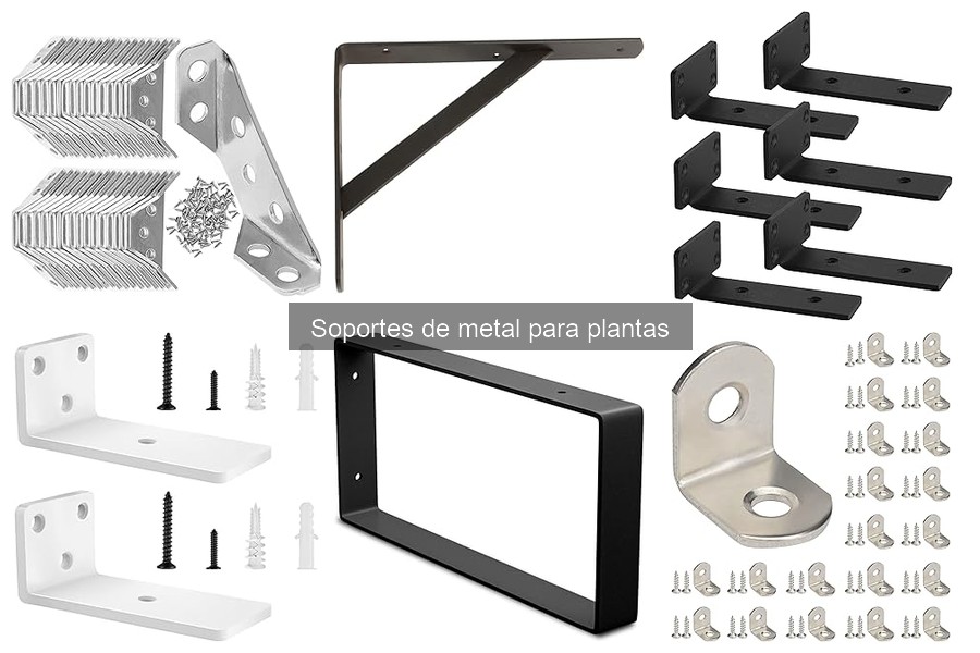 Tipos de soportes de metal para plantas: guía completa