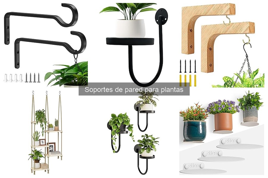 Todo sobre los soportes de pared para plantas en decoración