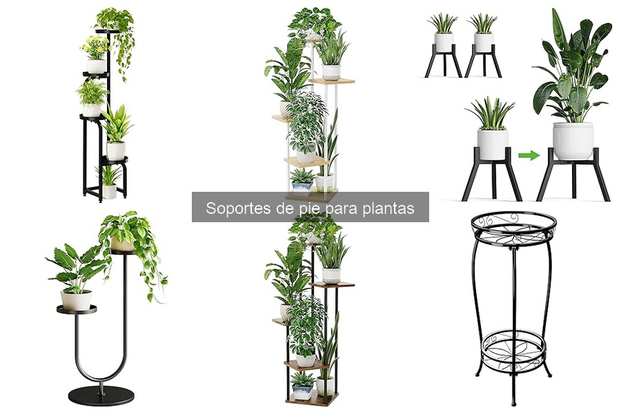 Todo sobre los soportes de pie para plantas en decoración