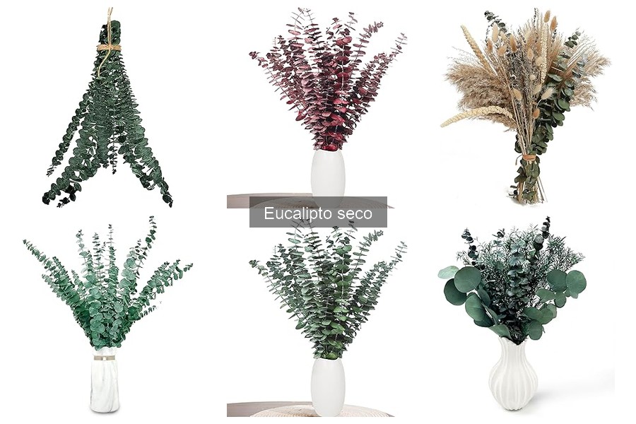 Usos creativos del eucalipto seco en artesanías