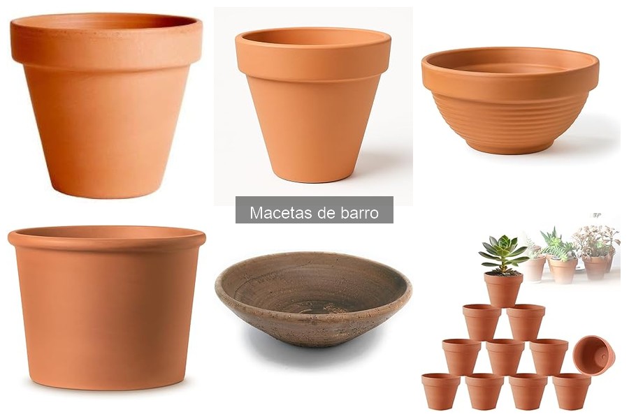 Ventajas de las Macetas de Barro para Tu Jardín