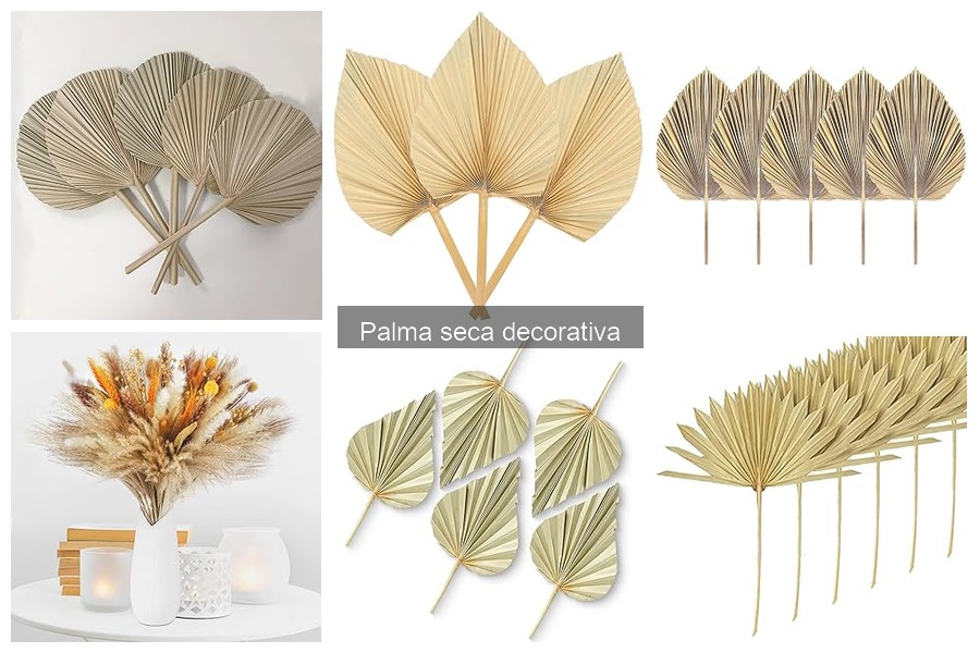 Ventajas de las Palmas Secas Decorativas en el Hogar