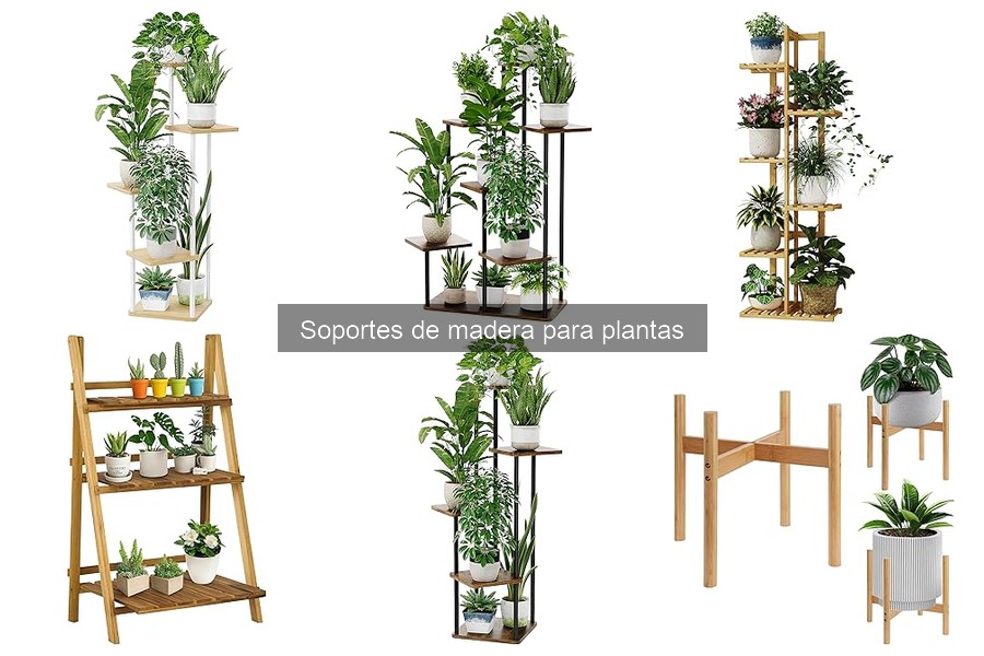 Ventajas de los Soportes de Madera para Plantas